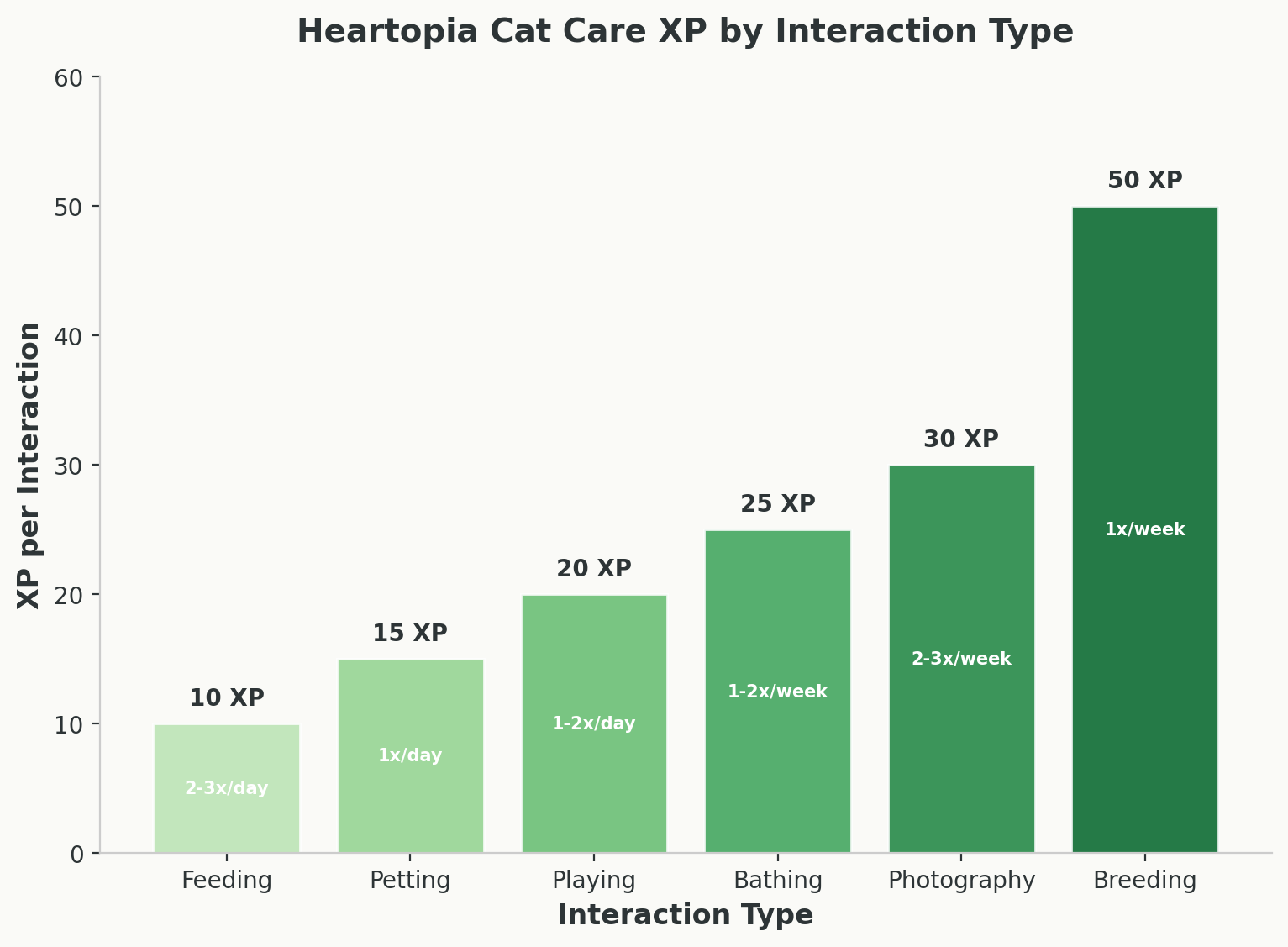Bar chart showing XP values for 6 cat care interaction types from feeding at 10 XP to breeding at 50 XP