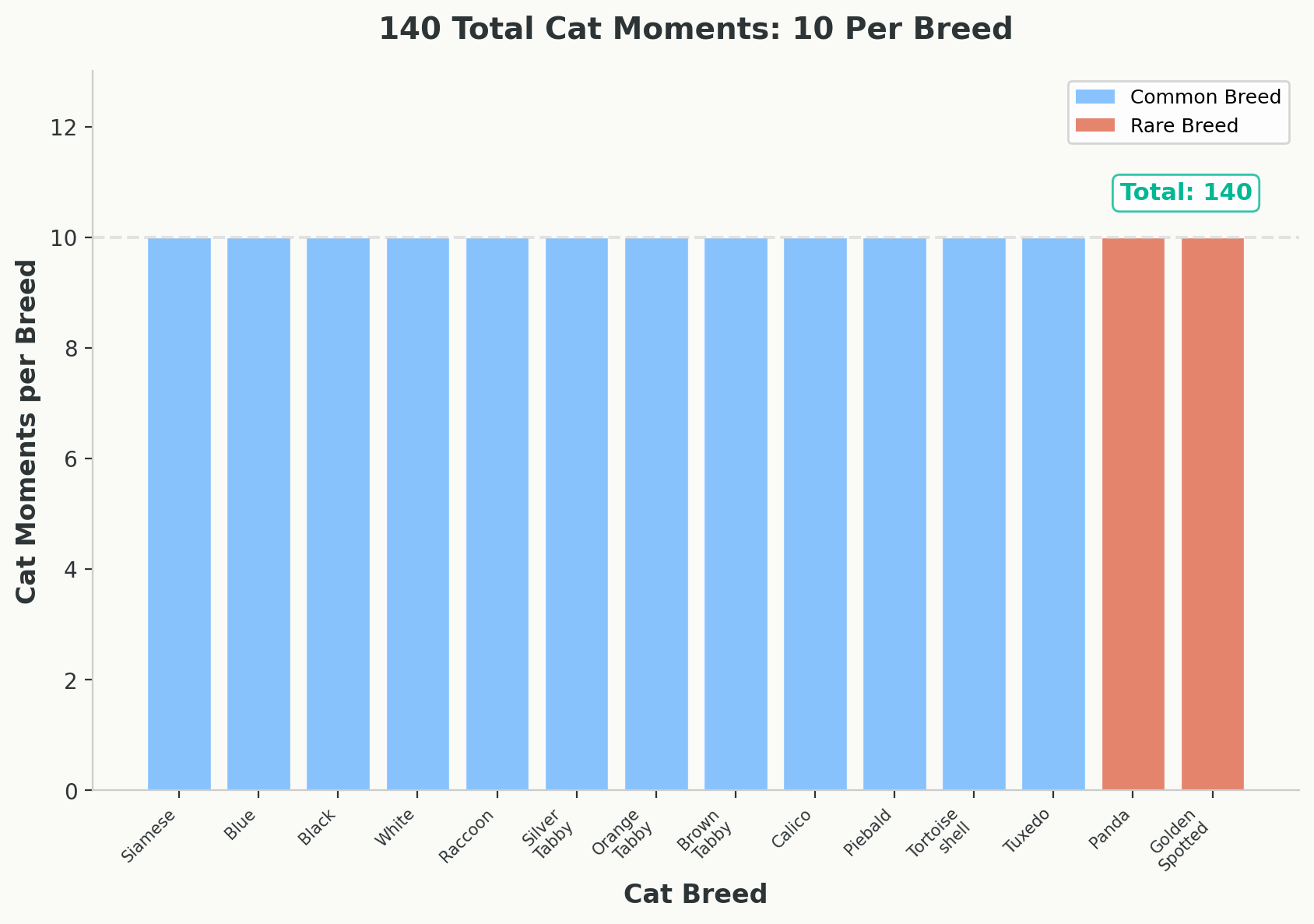 Bar chart showing 10 cat moments per breed across all 14 breeds, with common breeds in blue and rare breeds in red
