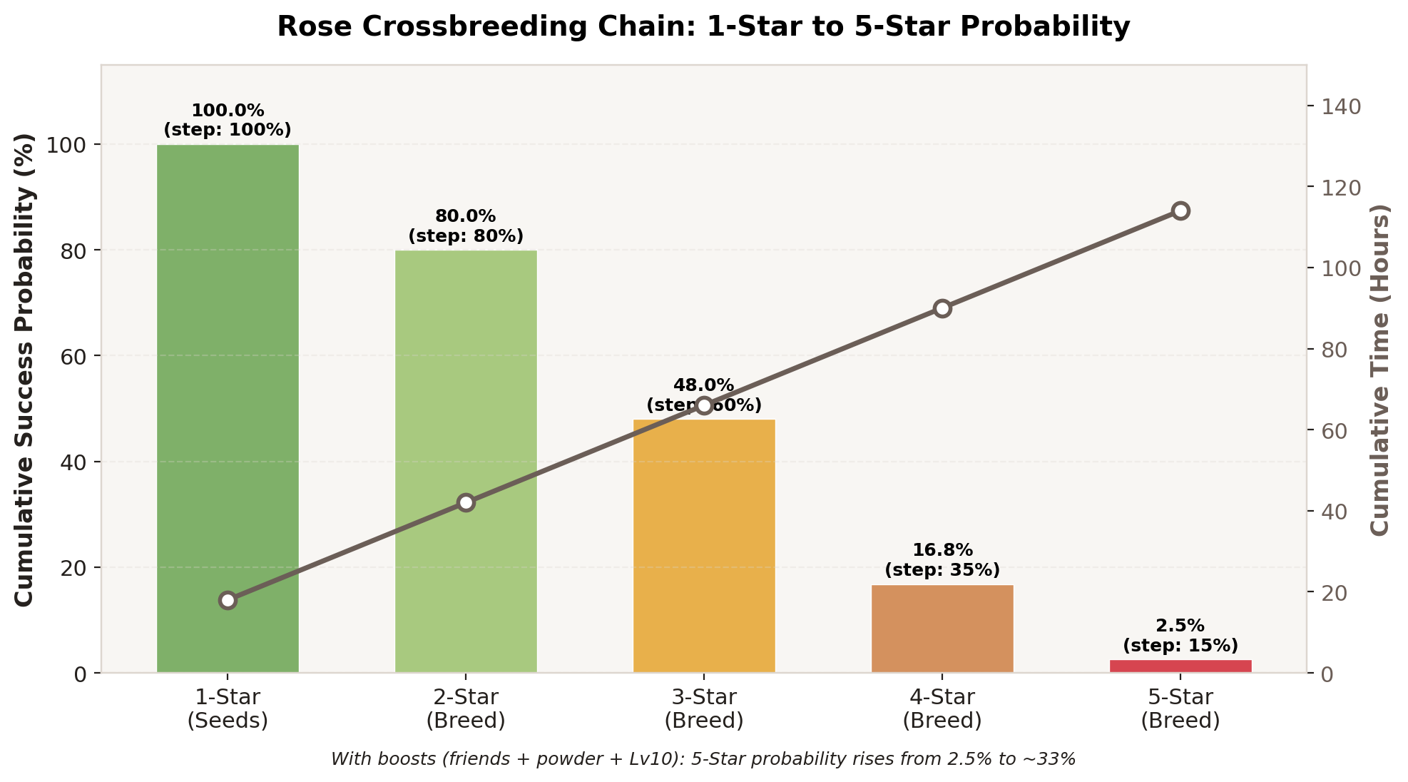 Rose crossbreeding chain timeline from 1-star to 5-star showing cumulative success probability and time investment