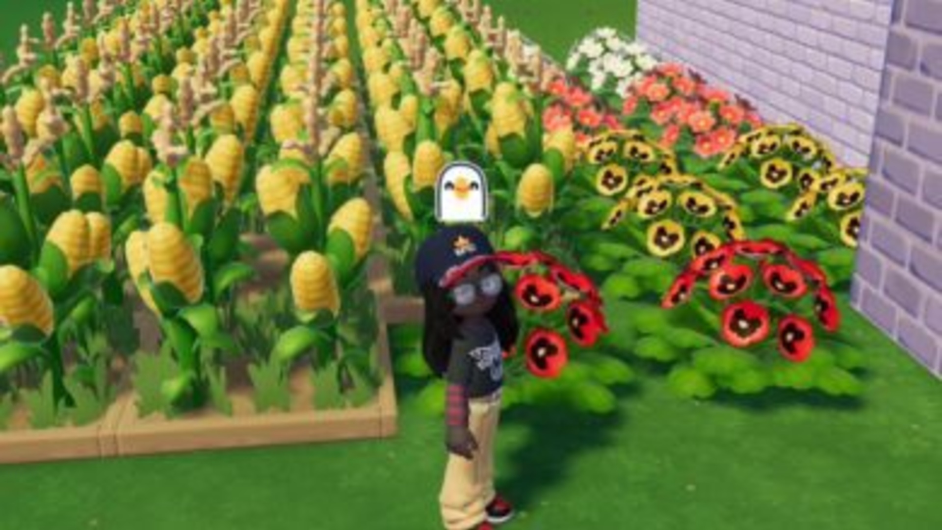 Heartopia gameplay showing flower garden with multiple flower species blooming on player home plot