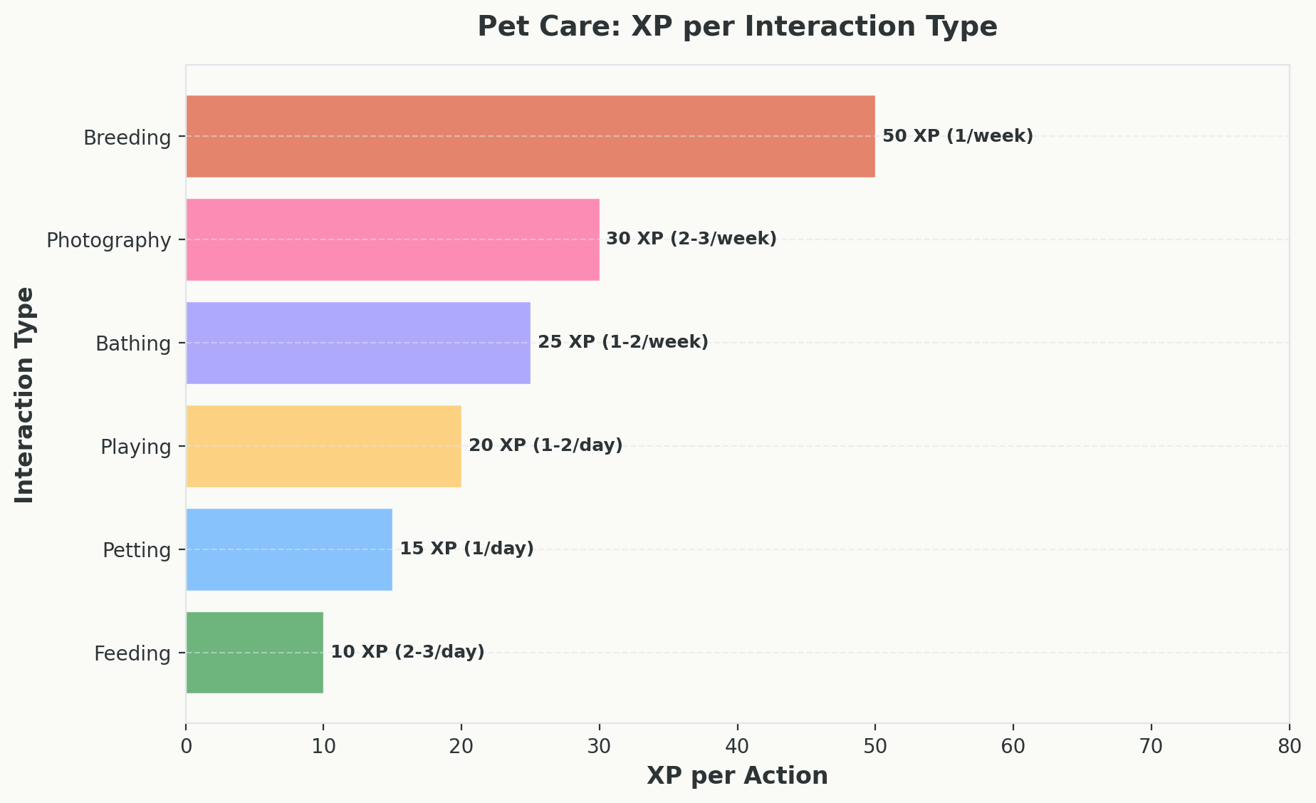 Horizontal bar chart showing XP per action for feeding, petting, playing, bathing, photography, and breeding