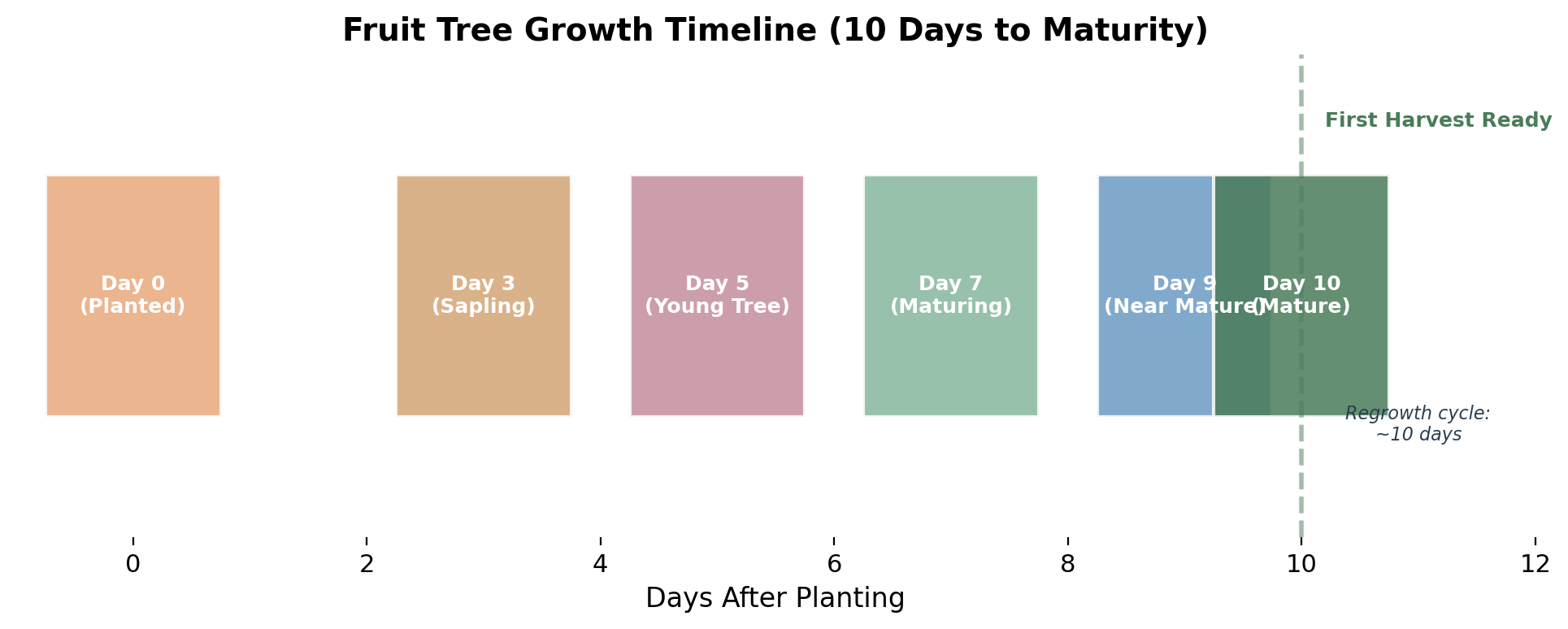 Timeline showing 10-day growth stages of fruit trees in Sun Haven